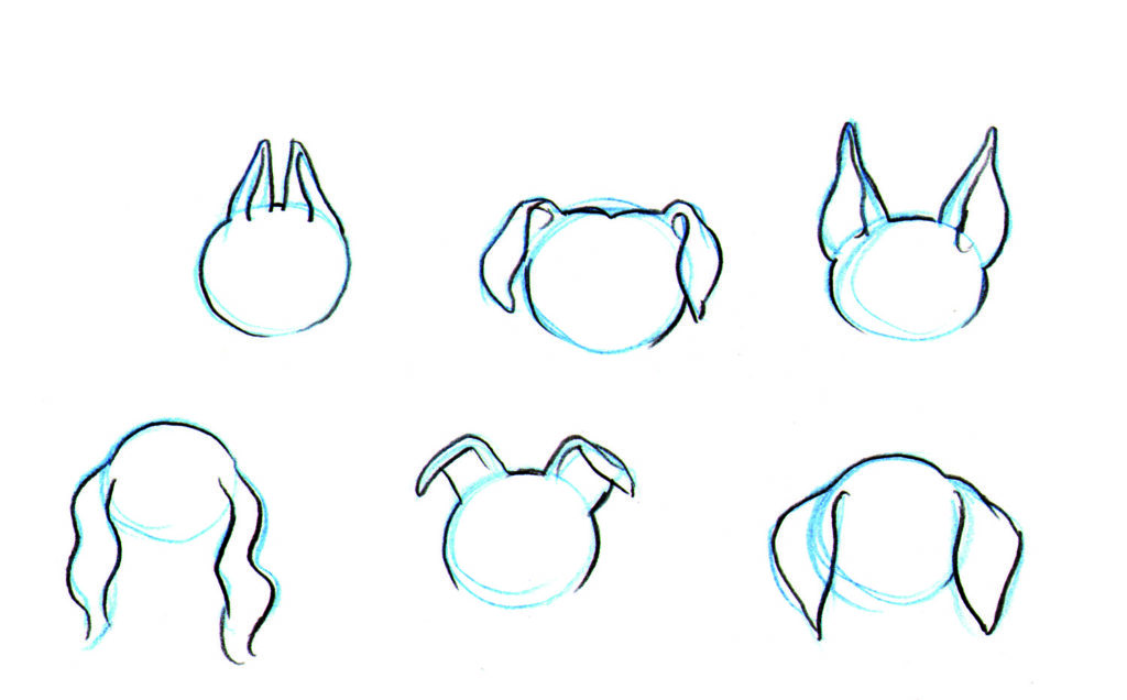 How to draw animals DogIntro_5 copy