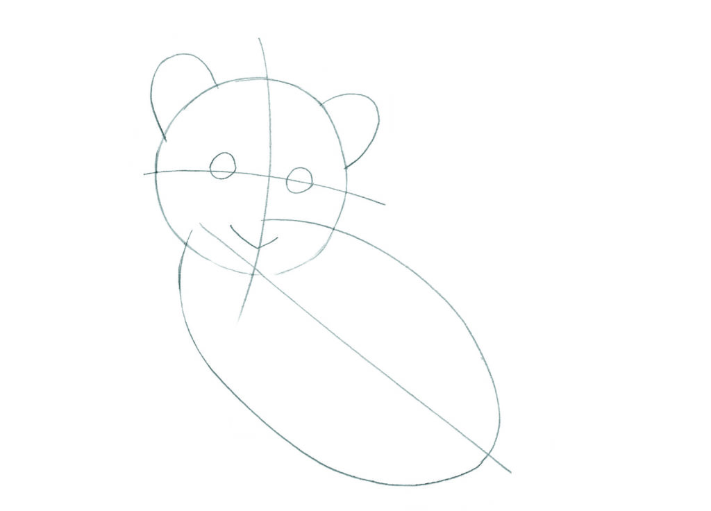 how to draw animals Tiger_2 copy