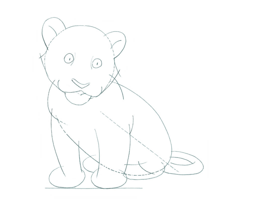 how to draw animals Tiger_4 copy