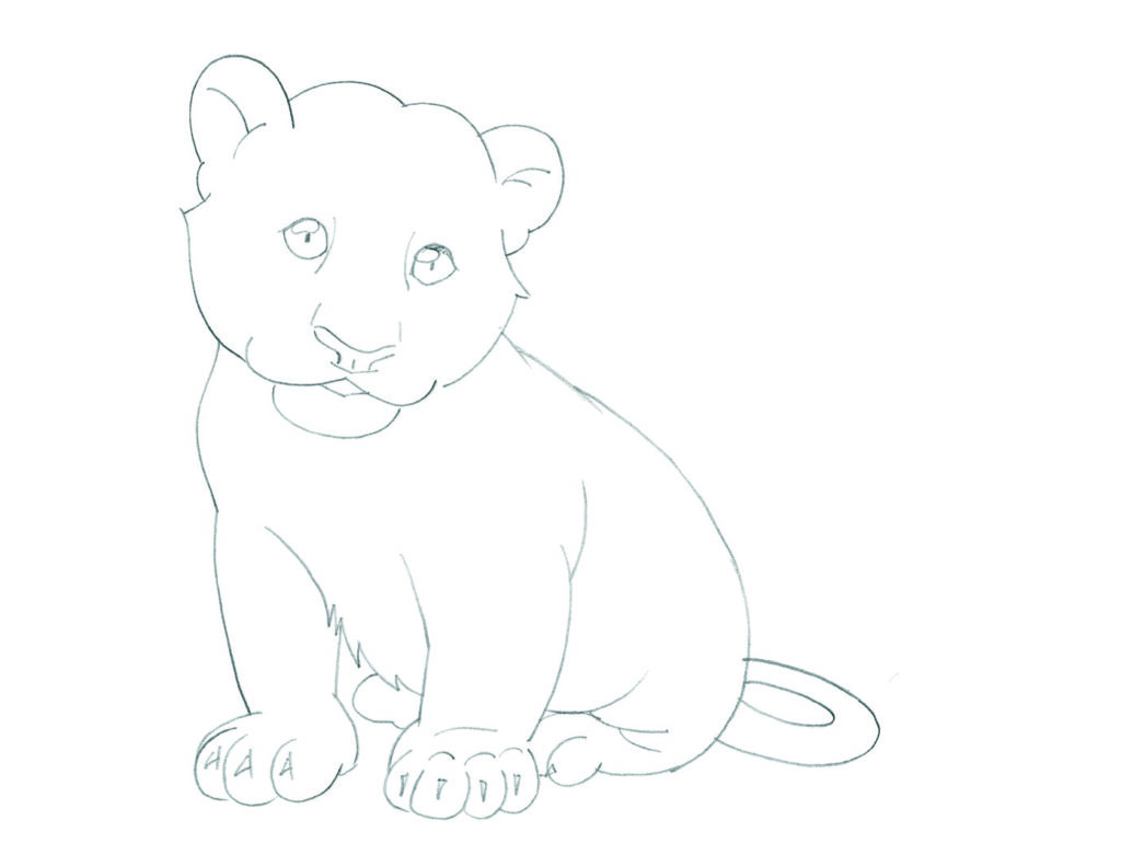 how to draw animals Tiger_5 copy